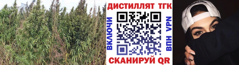 Дистиллят ТГК вейп  OMG ONION  Ревда 